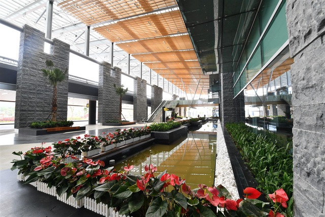 Sảnh chờ sân bay giúp hành khách có thể thư giãn, nghỉ ngơi, tận hưởng không gian xanh bên bể cá Koi